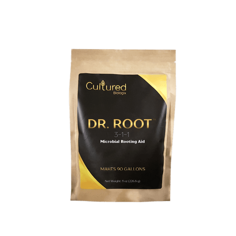 Dr. Root