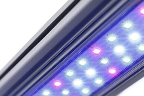 KIND LED Grow Lights X40/X80 Bar – GrowMoreIndoor