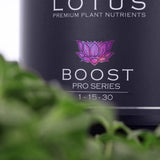Lotus Nutrients Pro Series - BOOST