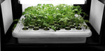 SuperCloner 50-Site Hydroponic Cloner System